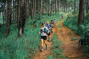 BIB: 
                            <button type="button" onclick="openModal(25663253)" class="btn btn-primary btn-sm float-right btn-popup" data-toggle="modal" data-target=".modal-high-quality">
                        <i class="fas fa-shopping-cart"></i> Add to Cart
                    </button>
                                            <button type="button" onclick="isThisMe(25663253, true)" class="btn btn-success btn-sm float-right btn-popup btn-isme hidden" data-toggle="tooltip" data-placement="bottom" title="นี่คือรูปของคุณใช่ไหม คลิกที่นี่เพื่อเอาเข้าอัลบั้ม">
                        <i class="fas fa-plus"></i> Add to album
                    </button>
                    <button type="button" onclick="isThisMe(25663253, false)" class="btn btn-warning btn-sm float-right btn-popup btn-isnotme hidden">
                        <i class="fas fa-ban"></i> Remove from album
                    </button>